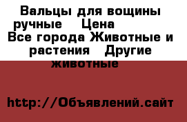 Вальцы для вощины ручные  › Цена ­ 10 000 - Все города Животные и растения » Другие животные   